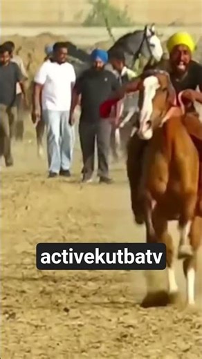#song#music#trending#viral#horse#explore#horseriding#ytshorts#viralvideo#reels#yt#ytshorts#shortfeed