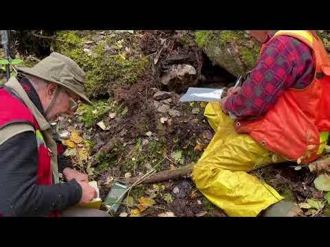 How to take a grab sample - Geology in action