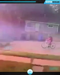 597K views · 7.4K reactions | 9Most Incredible Moments Caught on CCTV Camera | Kaleem Associates | Facebook