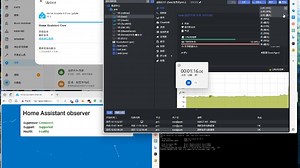 Home Assistant 极速版 普通网络升级速度