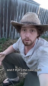 How to grow potatoes under hay update 1 @SageSmokeSurvival #fyp #gardening #survival #homesteading #HowTo #offgrid #sagesmokesurvival #urbanhomestead #potatoes #howtogarden #surviva#118 | Garden Idea