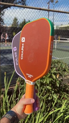 🦧 Pickleball Apes: Charm vs Pulse 🏓 #pickleballislife #sports #pickleballapes