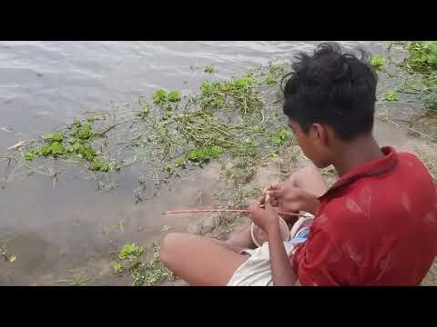 105 🎣 Traditional Fish Hunting in Village River || Fishing Challenge