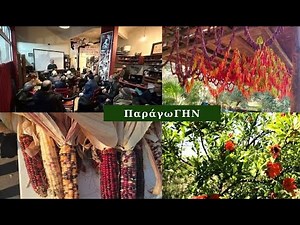 8. ΠΑΡΑΓΩΓΗΝ: Από τον σπόρο στη ζωή – Διατροφική επάρκεια και κοινωνική καλλιέργεια