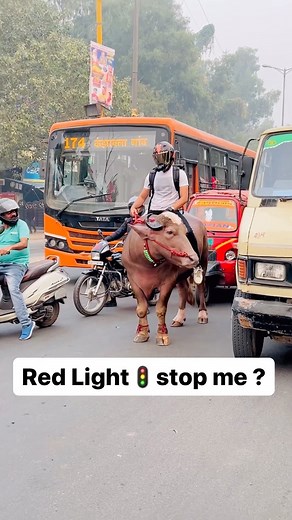 1.5M views · 10K reactions | Red Light stop me #redlight #reaction #reels #publicreaction #reactionvideos #instagram #salmankhan #srk #bollywood #tollywood #trending #trendingreels #trendingsongs #virals #viratkohli #ronaldo #jotta #murrahbuffalo #bullfight #rider #vlog #new #fun #comedy #naad #motovlog #instagood #delhivlogger #southsound #trendingsound | Rehan Khan | Facebook