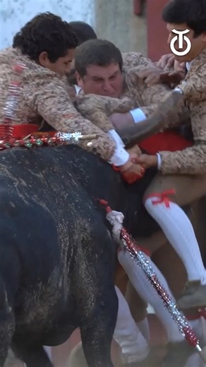 OneToro TV USA 🇺🇲 on Instagram: "The pega is one of the most raw and fearless expressions of Portuguese bullfighting. 𝓔𝓲𝓰𝓱𝓽 𝓶𝓮𝓷. 𝓞𝓷𝓮 𝓫𝓾𝓵𝓵. 𝓝𝓸 𝔀𝓮𝓪𝓹𝓸𝓷𝓼. The forcados face the charge head-on, relying solely on courage, strength, technique, and absolute unity. Each man has a role. Every movement matters. Together, they stop, hold, and dominate a brave bull using nothing but their bodies. 📺 Experience it on @onetoro.tv, the ultimate bullfighting channel — now with a 30-day 