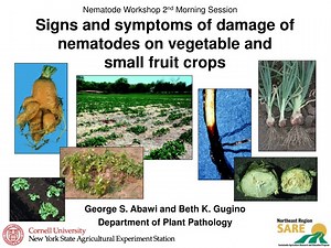 Nematode Damage on Crops: Symptoms and Identification - SlideServe