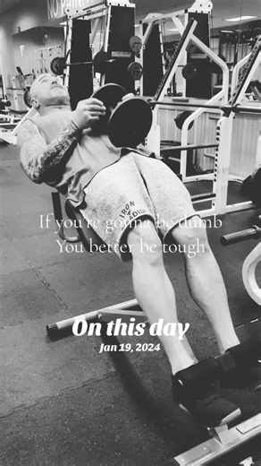 Building Success Brick by Brick with Vanilla Gorilla