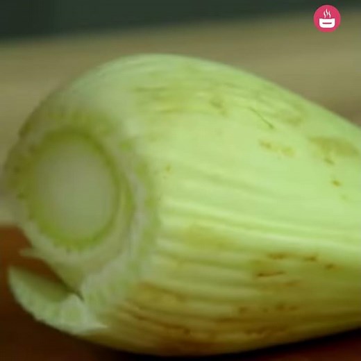 Parmesan Fennel Gratin