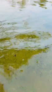 226K views · 10K reactions | Shiva PART18 #reelsviralシ #trendingreels #reelsviral #likeforlikes #tbt #trending #smilechallenge | Anil Kume Anil Kume | Facebook