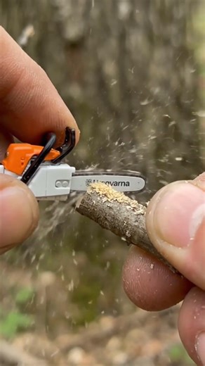 Can This Mini Saw Cut This Small Tree Branch
