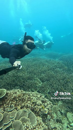 Scuba Diving Adventures at Tioman Island