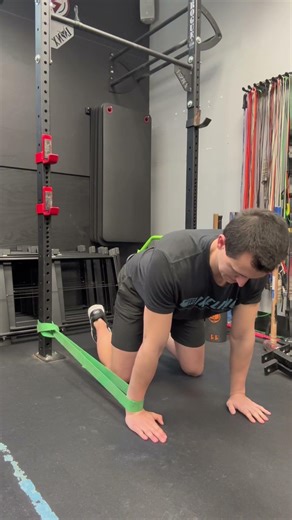 Quadruped Banded Wrist Extension Mobilization
