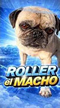 Parte 1 🐕 Dando MAS VIDA a mis 8 PERRITOS! 😍 #perritos #mascotas #funny #cute #cachorros #amor