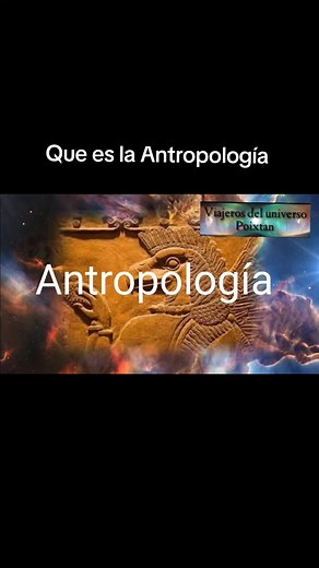 ¿Qué es la Antropología? Conceptos y Cultura