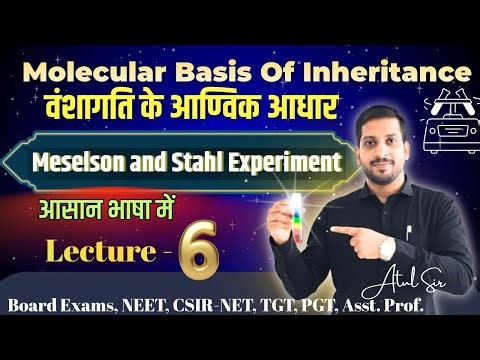 Meselson And Stahl Experiment 🧪| Semi - Conservative DNA Replication 🧬
