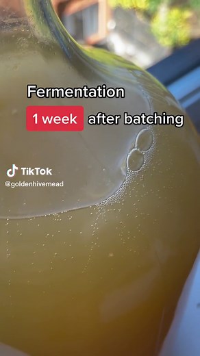 Mead Fermentation Timeline: A Guide to Perfect Timing