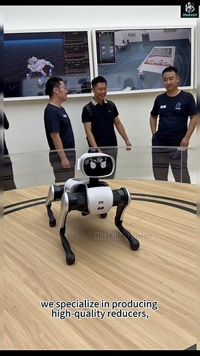 Vita Robotic Dog