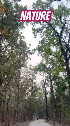 Nature #shortvideo #love #nature #tranding #viral