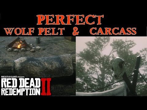 Red Dead Redemption 2 | Get Perfect Wolf Carcass and Pelts easy for Camp improvements