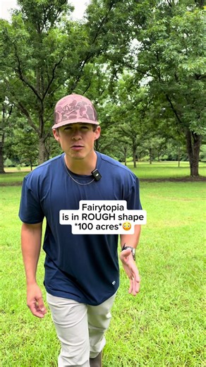 Efficient Yard Work: Bush Hogging and Mowing Tips