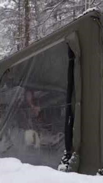 Pretty Girl Camping in Snowfall ❄️ | Cozy Winter #camping #snow #outdoors