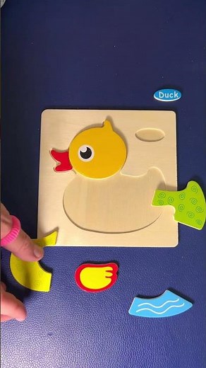 Can You Solve the DUCK PUZZLE?! 🦆🧩✨ #fun #shorts