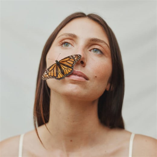 Lily Meola - Butterfly Lyrics