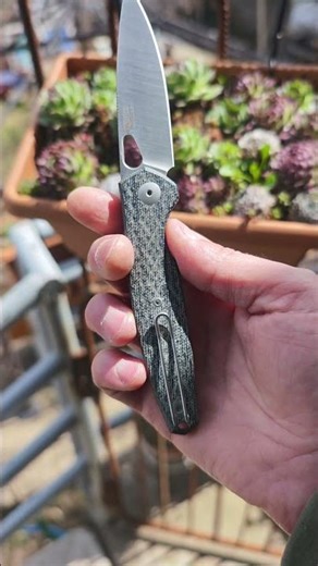 Elegant beauty from Giant Mouse - Ace Reo - desired for any gents pocket! #knives #magnacut #shorts