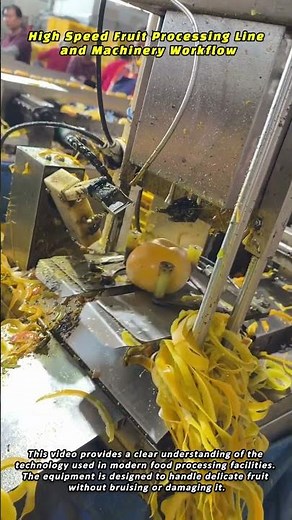 High Speed Fruit Processing Line and Machinery Workflow