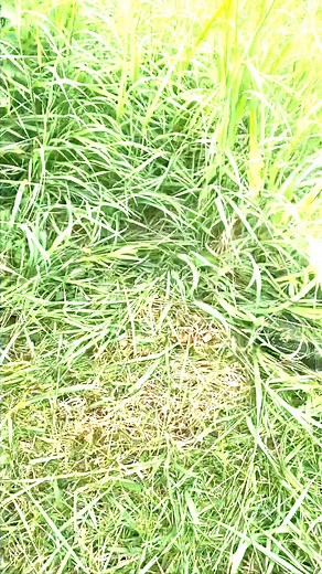 4.4K views · 26 reactions | “The run time of a battery exceeded my...