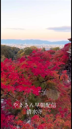 清水寺の紅葉とやまさんの早朝配信
