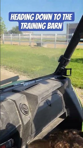 Heading down to the training barn with the crew! #horseranch #training #barrelhorses #tanchdogs