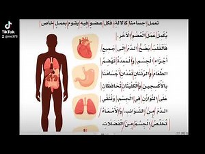 قراءة درس أعضاء جسمي صف أول ابتدائي