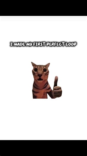 PERFECT LOOP