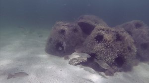 Dozen artificial reef balls to be installed along Hernando County's coast