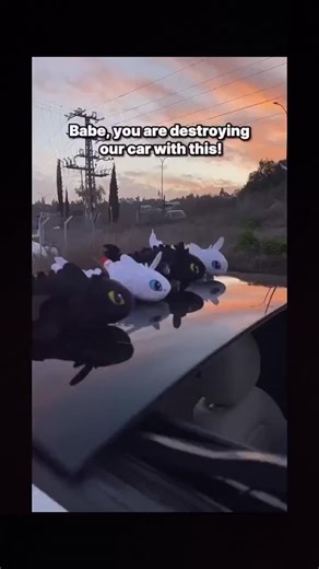 Original Toothless Plush on Instagram: "Add Toothless plush to your car for the perfect vibe. 🌟 #PerfectCarVibe #ToothlessPlush #PlushCompanion #FantasyJourney"