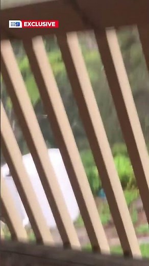 Lightning strikes tree in front of family as they calculate storm distance