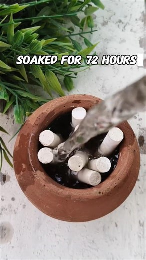 Chalk in water for 72 hours #satisfying #asmr #odlysatisfying
