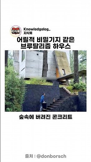 어릴적 비밀기지 같은 브루탈리즘 하우스