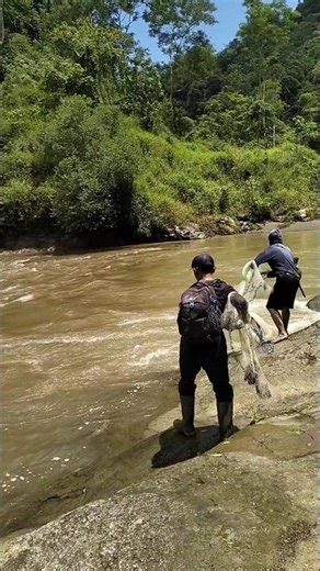 creative way to catch fish using a net