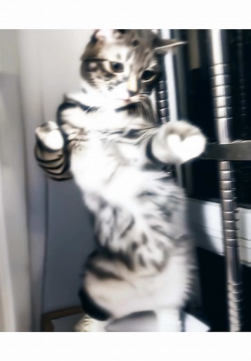 Perfect Loop of 'Tie Me Up' by Jeleel!