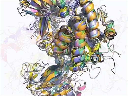 Schrodinger PyMOL 2025 3.1.7 Linux版 分子可视化系统Schrodinger PyMOL 2025 3.1.7 MacOS系统