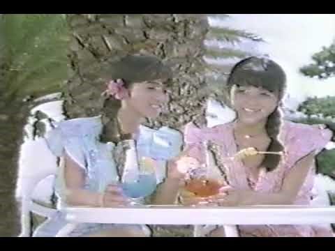 【テレビCM】1986年 日本国有鉄道「南紀が好き。」