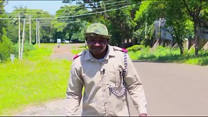 Siaya kababa mwalo... Tonight's venue for our performance is the Audrey Resort in Siaya. Join us for a night of connection and good vibes. TICH MATEK EMAKELO MWANDU! | Emma Jalamo