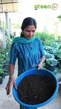 എയർ ലയറിങ് ഇനി വീട്ടിൽ ചെയ്യാം! A ടു Z കാര്യങ്ങൾ ഇവിടെയുണ്ട് #airlayering #trickshots #farmingtips