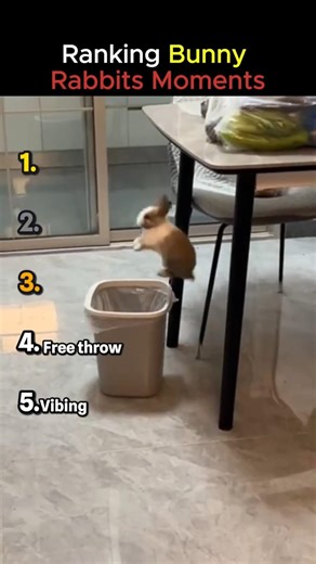 Ranking Funny Bunny Rabbit Moments Again! #ranking #funnyanimals #bunny #rabbit #moments