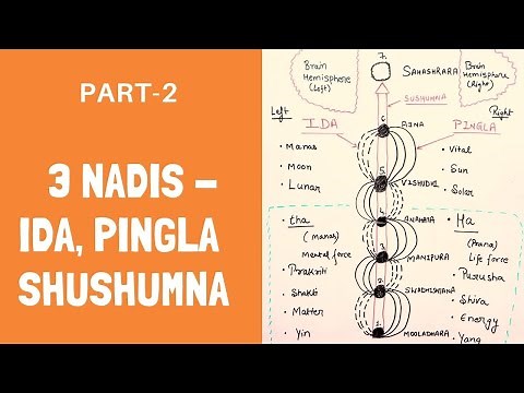 3 Fundamental Nadis - Ida, Pingala and Sushumna: Meaning, Difference and Relation with Chakras