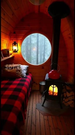 Log Cabin Treehouse with Forest View