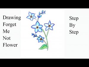 How to draw and color a Forget Me Not Flower / Drawing flowers / Flower drawing tutorial